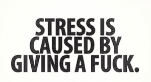 stress is caused by