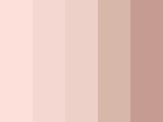 blush color palette