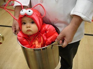 baby-lobster