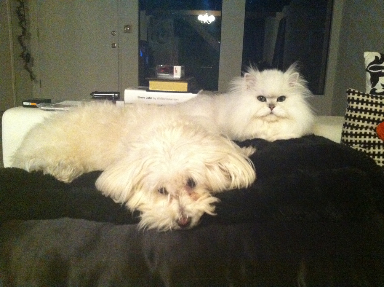 both on the pillow
