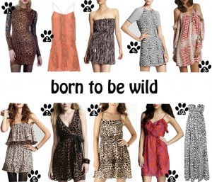 whydid-born-to-be-wild
