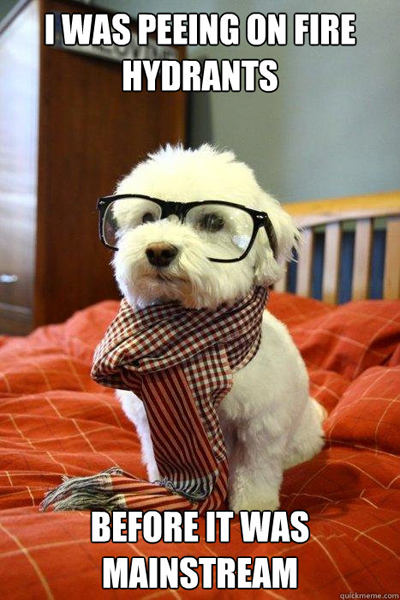 puppy in glasses
